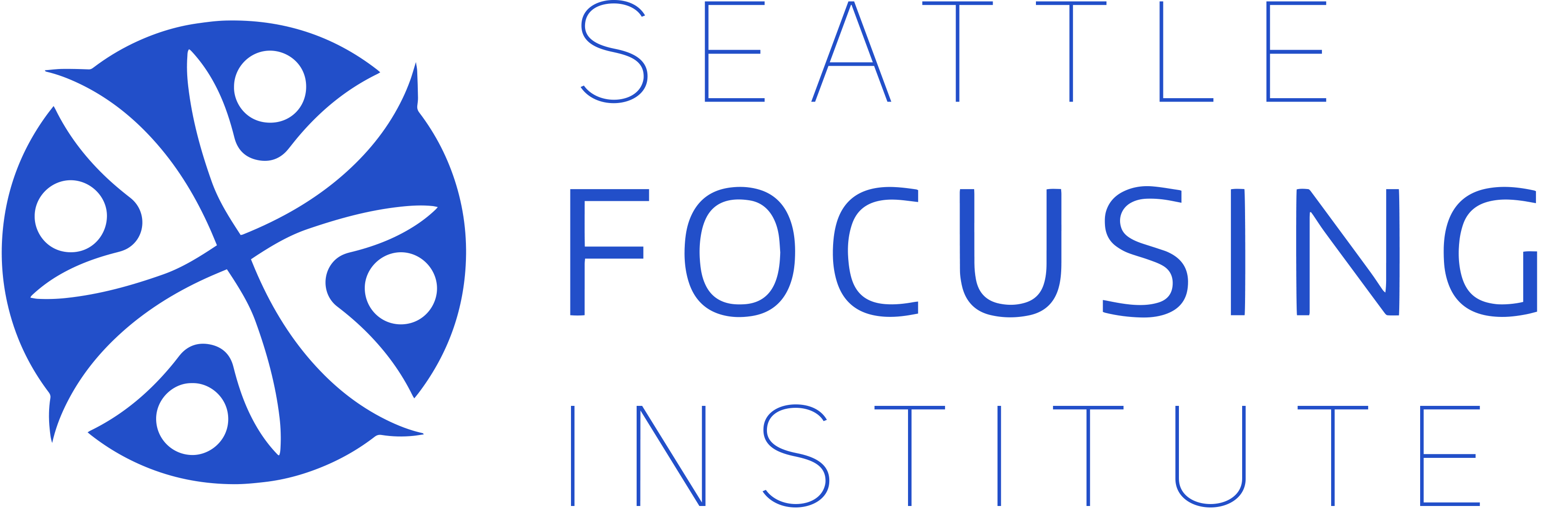 Seattle Focusing Institute